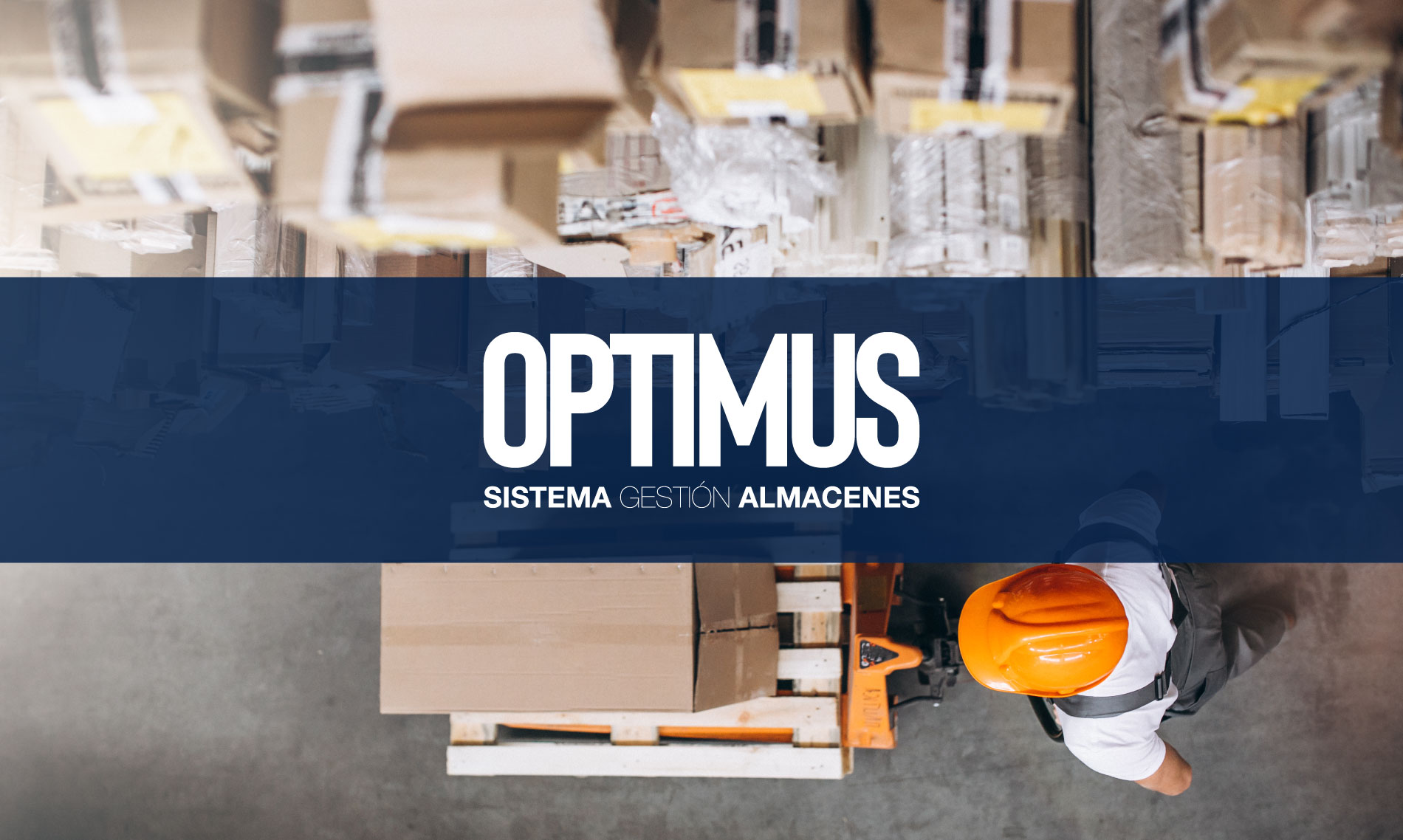 portada-optimus-web