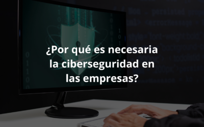 Ciberseguridad: ¿Por qué es necesaria en tu empresa?